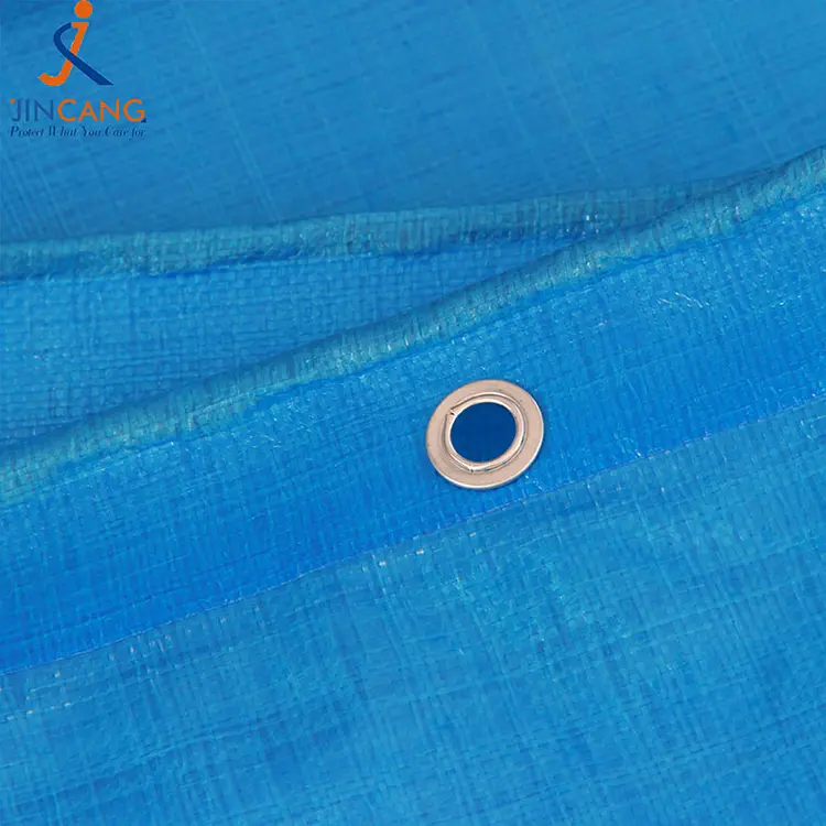 180g Blue PE prelate