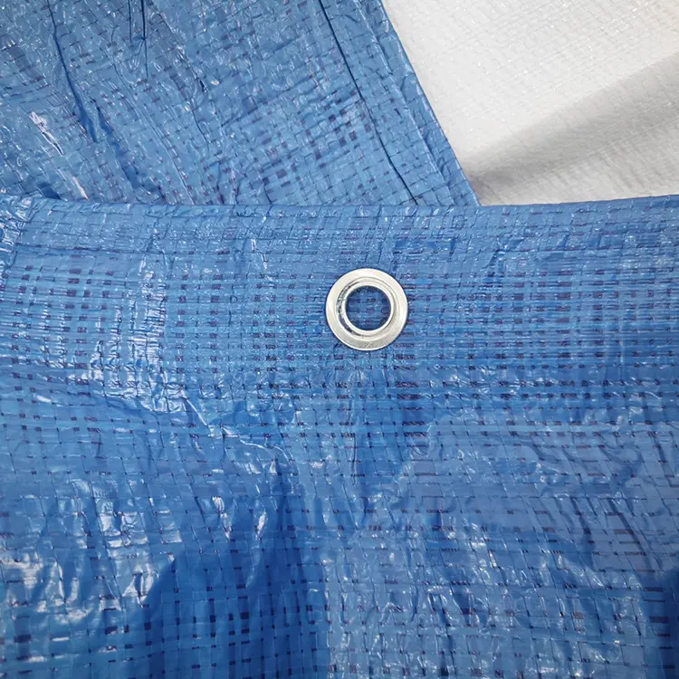 60G albastru PE prelate