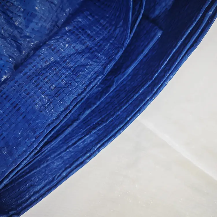 60G albastru PE prelate