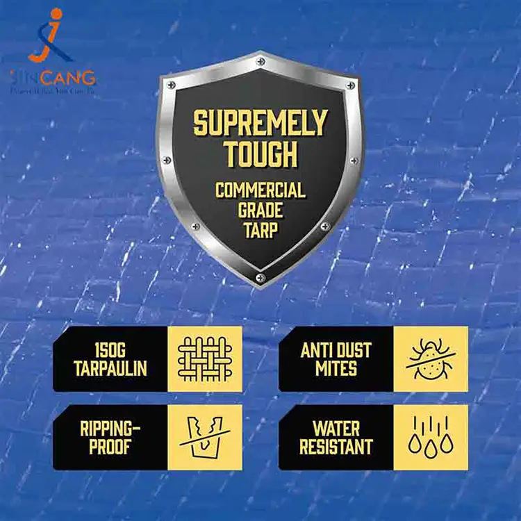 Geanta de saltea impermeabilă pe prelată