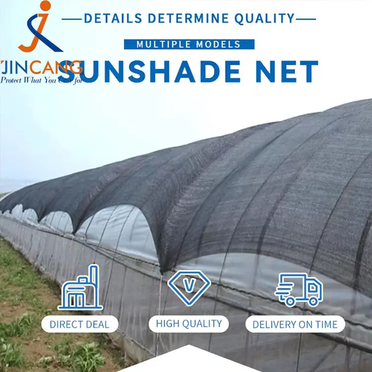 Sun nuanță de soare