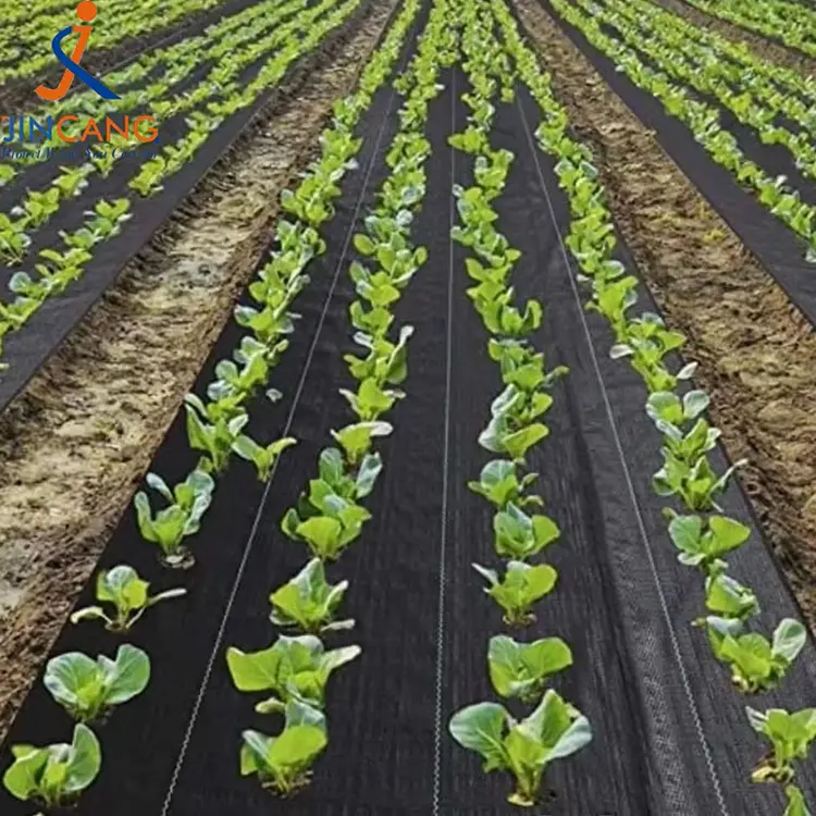 Covor de buruieni durabil